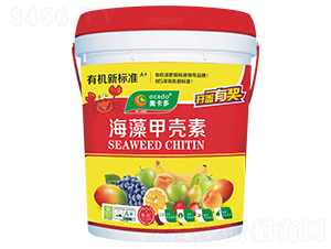 ����ך���-�W����