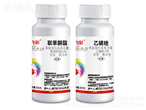 20%������+43%(li��n)������-�M�w��-������