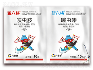 30%���x�+20%߻�x��-������-������