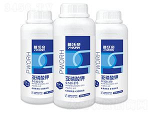 �������-������