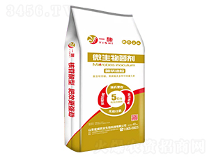 ΢�������-һʩ-�����r(n��ng)�I(y��)