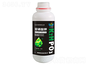 �������0-520-350+TE-�m�Z��-������