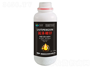 ���w���\-�m�Z��-������