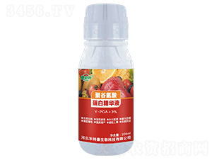 �۹Ȱ��ᵰ�׾��AҺ-�����a-���ؿ�