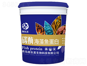 ̼ø�����~����-ʩ����