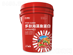 ���ĺ����~����-�����r(n��ng)