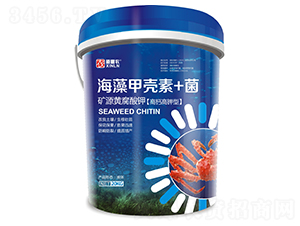 ����ך���+��-�����r(n��ng)