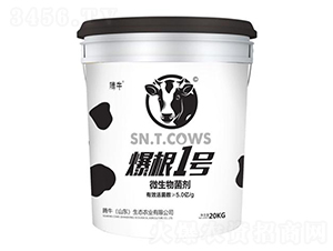 ΢�������-����1̖(h��o)-�vţ