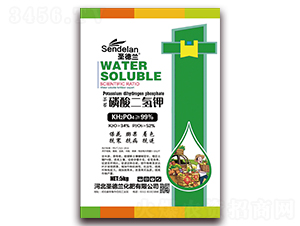 �|̦��������-ʥ���m