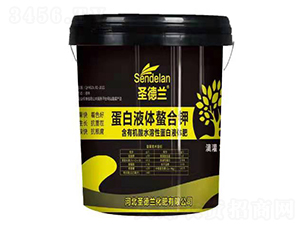 ����Һ�w�����-ʥ���m