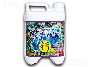 5kg΢���Ǵ��}-ʥ���m