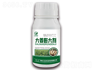 �����-�����r(n��ng)��