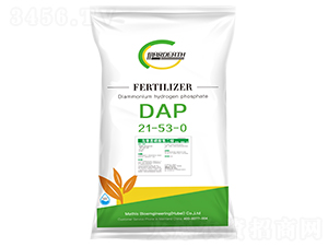 �R��˼��������21-53-0-ǧ��ֲ��