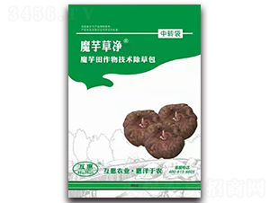 ħ�������＼�g(sh��)���ݰ�-ħ��݃�-����