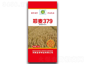 ����379-С���N��-�����N�I(y��)