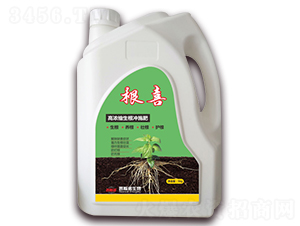 �ߝ�s�����_ʩ��-��ϲ-��˹�Z