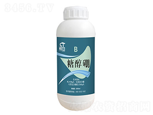 �Ǵ���-����-�֮��