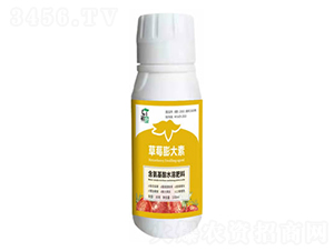 ��ݮ�����-����-�֮��