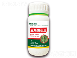 �������Lֱ-٤�נ�-ľ�̼ь�