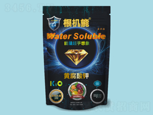 �S�����-���C(j��)��-��������