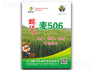 ���A��506-С���N��-���A�r�I(y��)