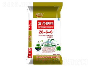 ��(f��)�Ϸ���28-6-6-���Z-������