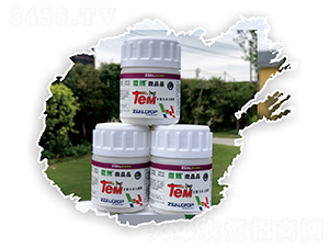 ȫ���϶�Ԫ΢��-΢��-��������