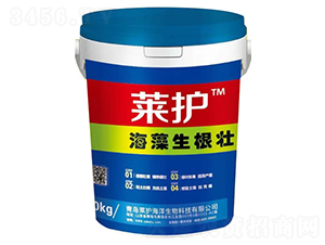 ����������-�R�o-����