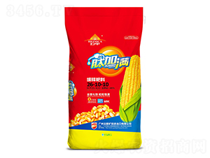 ��ጷ���26-10-10-�ļӝM-�V���ƈD