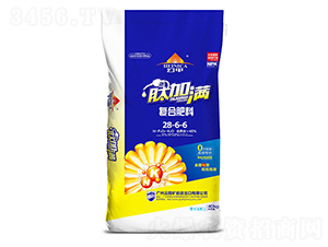 ��(f��)�Ϸ���28-6-6-�ļӝM-�V���ƈD