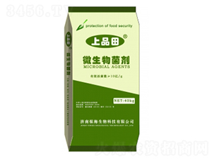 40kg΢�������-��Ʒ��-�y������