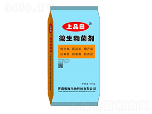 10�|΢�������-��Ʒ��-�y������