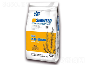 �������ܡ������-���Y�Z