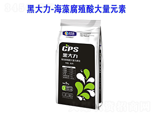 ���帯ֲ�����Ԫ����ˮ�ܷ���-�ڴ���-����ɭ