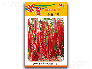 ����21̖-�����N��-�r(n��ng)��