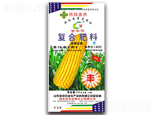 ���׌��Ï�(f��)�Ϸ���28-6-6-ʥ���r(n��ng)�I(y��)