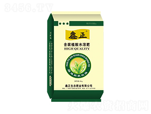 ����ֲ��ˮ�ܷ�-����