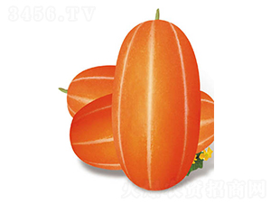 �t��һ̖(h��o)���-��ϷN��-�߶˷N�I(y��)