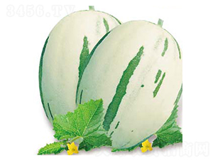 �䎧(M15)-��ϷN��-�߶˷N�I(y��)