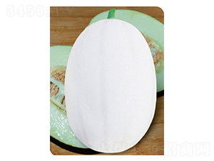 �|����2̖(h��o)-��ϷN��-�߶˷N�I(y��)