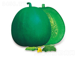 �G��6̖(h��o)-��ϷN��-�߶˷N�I(y��)