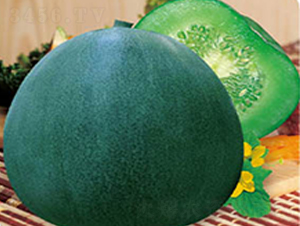 �����G��-��ϷN��-�߶˷N�I(y��)