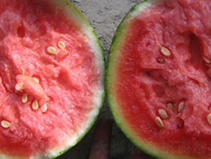 �н��t��-���ϷN��-�н��N�I(y��)