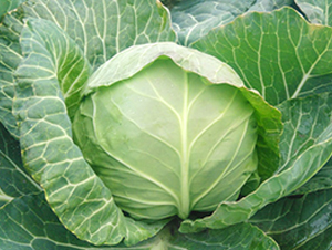 �K��35-���{(l��n)�N��-�н��N�I(y��)