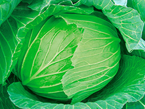 �K��27-���{(l��n)�N��-�н��N�I(y��)