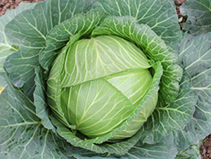 �K��39-���{(l��n)�N��-�н��N�I(y��)