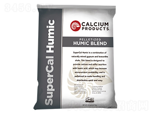 �����{(di��o)�턩-������-��������