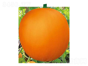 �ش���t-��ϷN��-�߶˷N�I(y��)