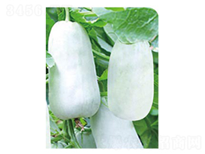 �ᭇ��-��ϷN��-�߶˷N�I(y��)