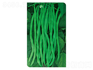 �t�S���L�߮a(ch��n)�ܶ�-�|���N��-�߶˷N�I(y��)